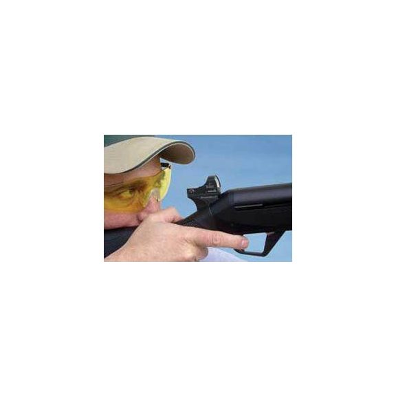 Red Dot Burris Speedbead Combo Remington 870
