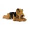 Caine de plus Airedale Terrier, 41 cm, colectie