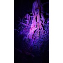 Lanterna detector sange Primos Bloodhunter HD Pocket